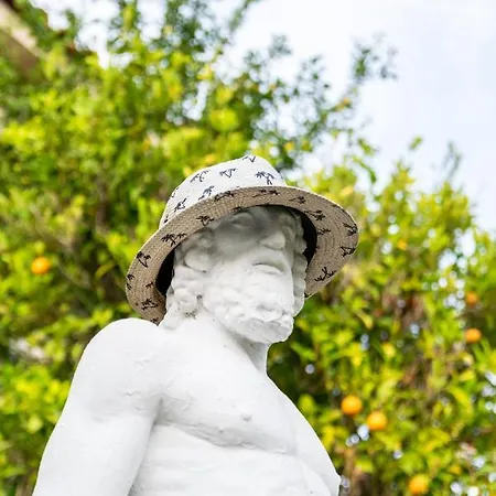 Sarikas Πολύχρονο