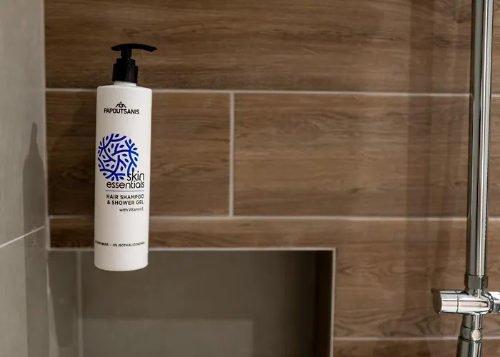 Sarikas 3* Polychrono